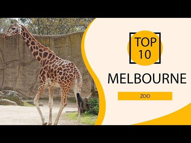 Top 10 Best Zoo to Visit in Melbourne | Australia - English