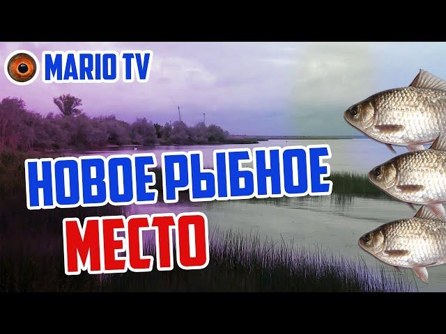 Рыбалка-разведка в перспективном месте + БОНУС. Смотрите до конца