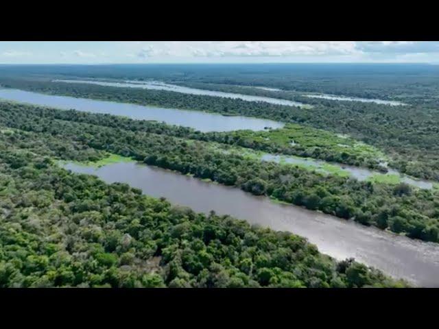 Graham Hancock - What is found in the Amazon Rainforest