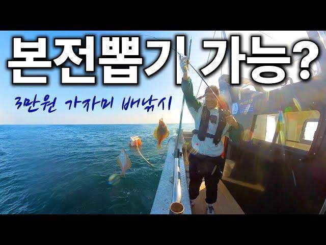 Korean boat fishing experience, how many can I catch?