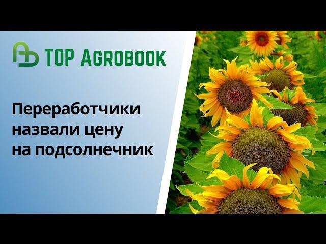 Переработчики назвали цену на подсолнечник. TOP Agrobook: обзор аграрных новостей