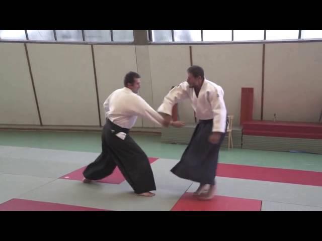 Aikido Irimi - Tenkan vs Tenkan - Irimi, Slow Motion