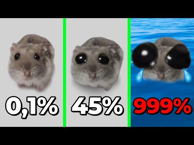 Sad Hamster Becomes More Sad