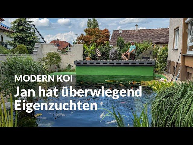 Jan selbstgebauter 30.000 Liter Teich | Modern Koi Blog #7239