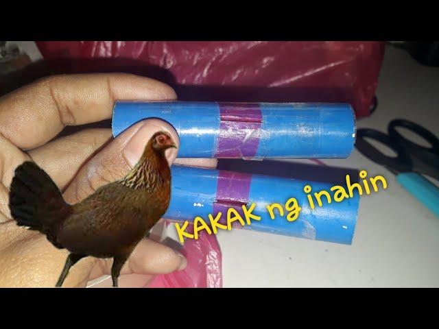 Pakakak tutorial, para sa manga pangating manok labuyo/red jungle fowl/ chicken hen sound