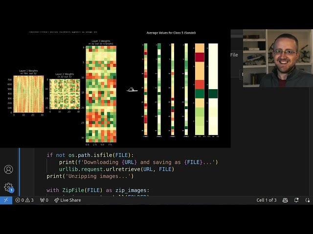 Visualizing Neural Network Internals