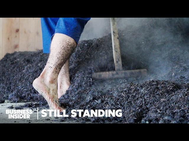 How Japan's 800-Year-Old Indigo Dyeing Process Is Still Standing | Still Standing | Business Insider