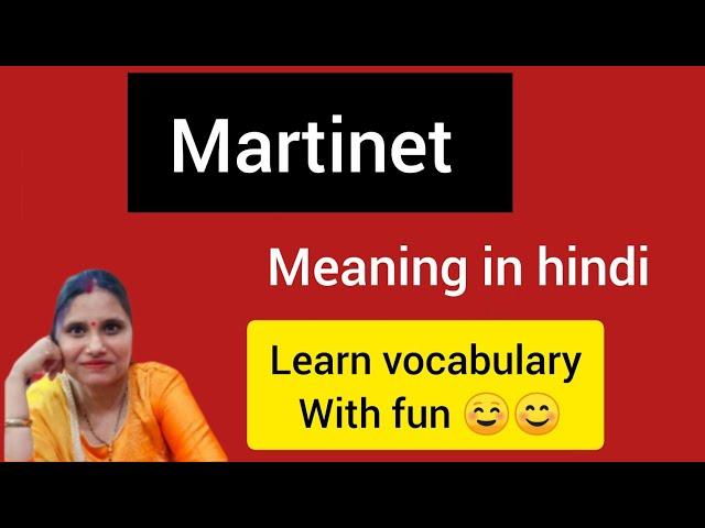 Martinet meaning in hindi || #learnvocabularywithfun