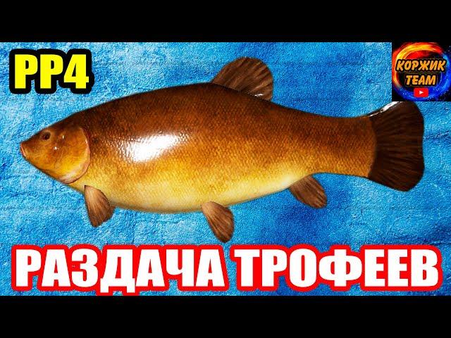 Спешите Закрыть КАРТИНКУ на Медном ● Русская Рыбалка 4 | РР4