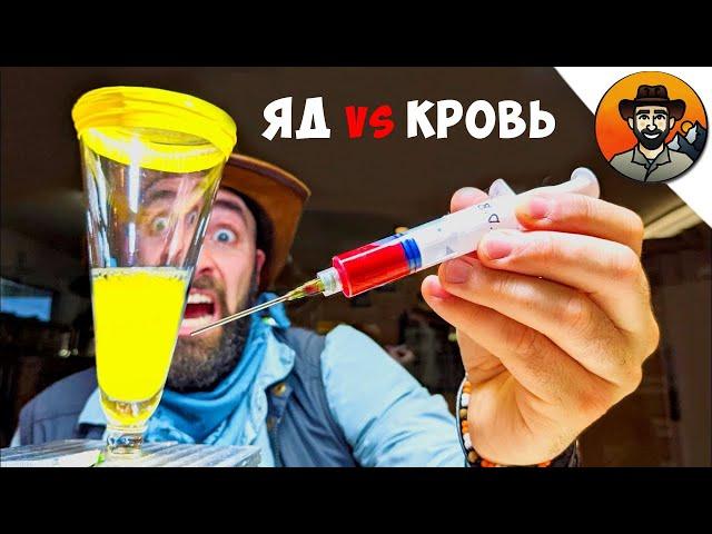 ЧЕЛОВЕЧЕСКАЯ КРОВЬ vs ЯД ЗМЕИ / Койот Питерсон на русском