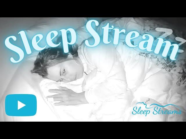 Sleep/Snore Stream with Puppies