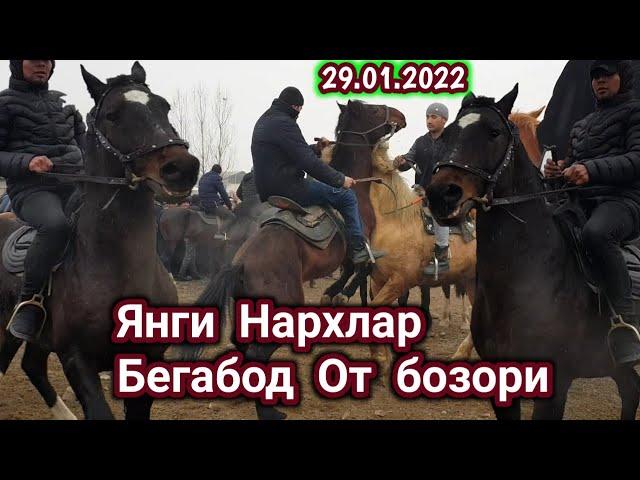 БУГУН ОТЛАРГА НИМА БУЛДИ БЕГАБОД ОТ БОЗОРИ 29.01.2022 НАРХЛАР УЗГАРДИМИ.#отлар#отбозор#улок#копкари