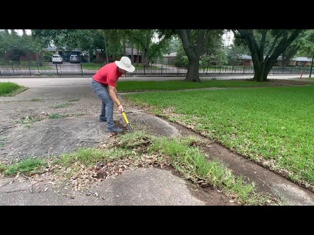 NATURE was TAKING OVER this yard - Until I SHOWED UP - Unbelievable LAWN TRANSFORMATION