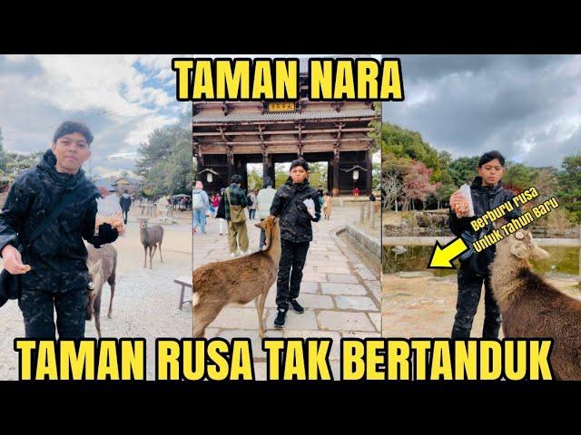 TAMAN NARA | TAMAN RUSA DI JEPANG YANG INDAH 