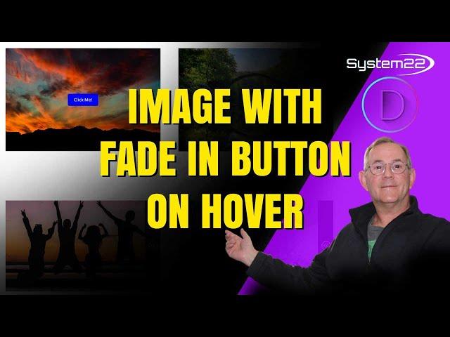 Divi Theme Image With Fade In Button On Hover