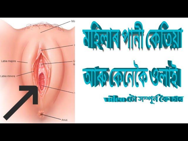 মহিলাৰ পানী কেতিয়া আৰু কেনেকৈ বাহিৰ হয়।Assamese GK questions.অসমীয়া যৌন কৌতুক part 4.