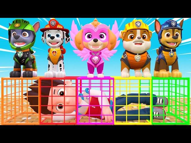 PAW Patrol Guess The Right Door ESCAPE ROOM CHALLENGE ESCAPE ROOM CHALLENGE Animals Cage Game