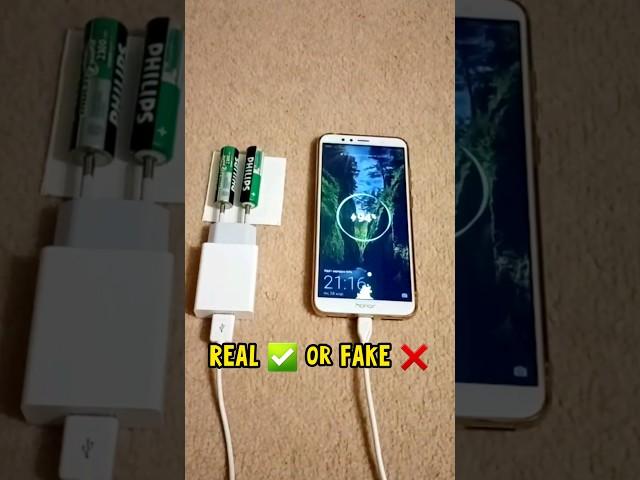 REAL  or FAKE  Charging phone with AA batteries 