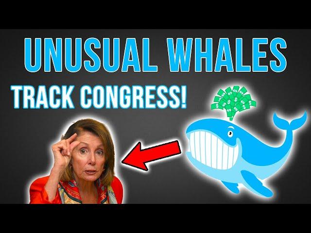 Unusual Whales Politics Tutorial | How To Track Congress Trades!