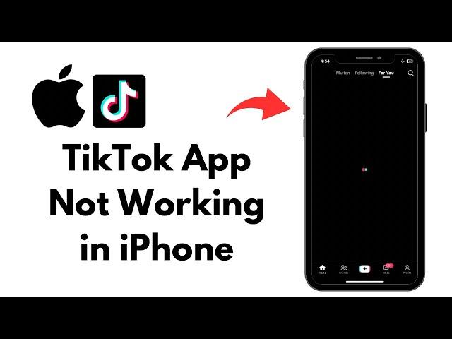 How to Fix TikTok App Not Working in iPhone (2023)