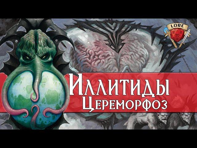 Все Секреты Иллитидов | Dungeons and Dragons Lore