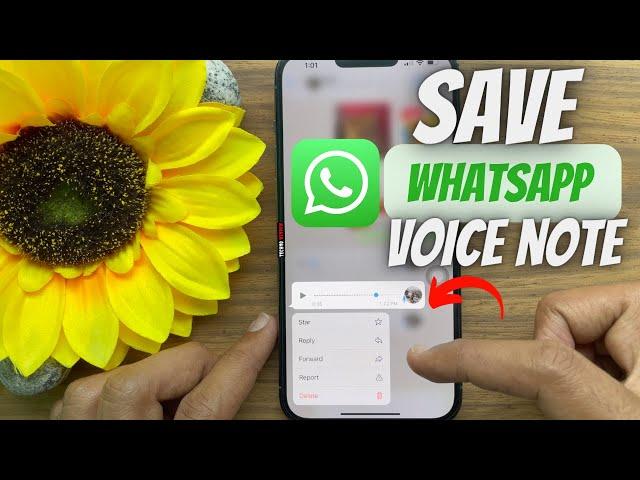 How to download voice notes from WhatsApp on iPhone