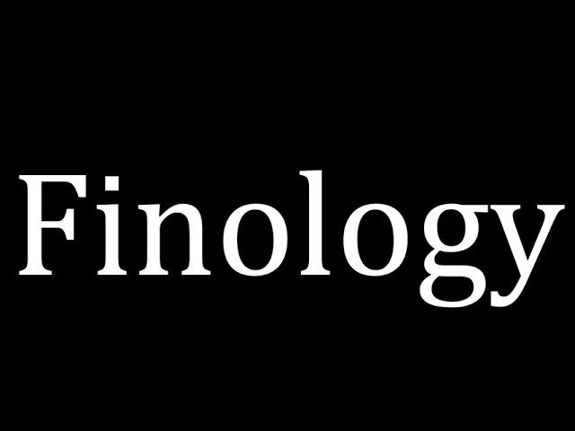 Finology Meaning