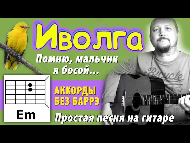 ИВОЛГА (ПОМНЮ, МАЛЬЧИК Я БОСОЙ) - ПРОСТАЯ ПЕСНЯ НА ГИТАРЕ (АККОРДЫ БЕЗ БАРРЭ) БОЙ (COVER)