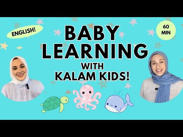 English Baby Learning With Kalam Kids - First Words, Songs, Nursery Rhymes for Babies Toddler Videos