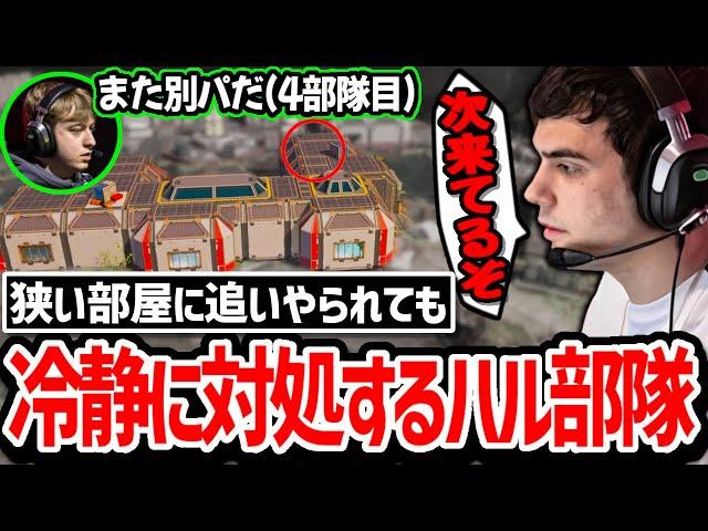 何度漁夫が来ても関係なし!? 絶望的な状況でも冷静に立ち回り返り討ちにするハル達!【日本語字幕】【Apex】