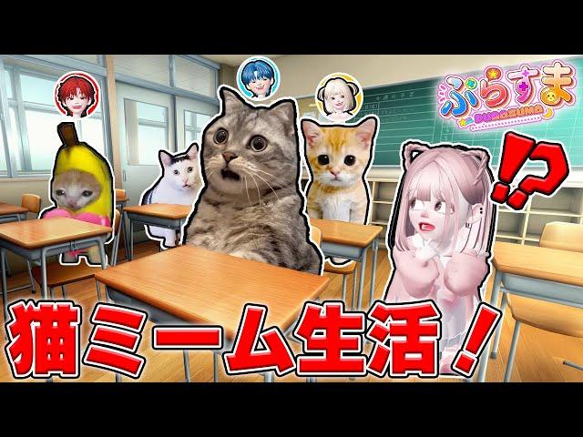 色んな『猫ミーム』になって４人で生活してみた結果！？ロブロックス【ROBLOX】