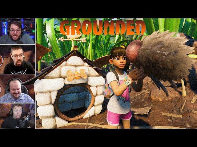 Streamers Getting Scared By Insects While Playing Grounded Compilation Part II (Jumpscares/Funny)