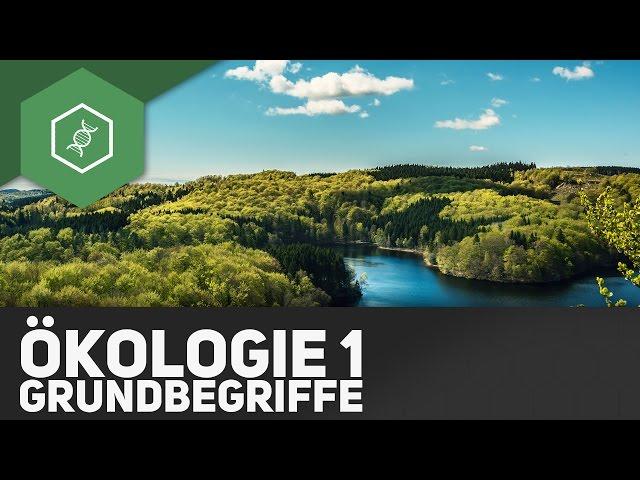 Grundbegriffe der Ökologie - Ökologie 1