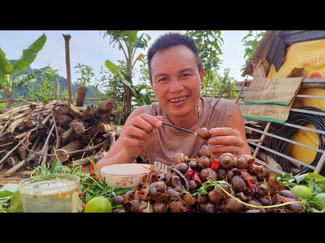 Cắt cơn ốc tơ/Anh 1985 Vlogs