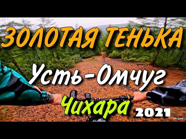 Золотая тенька. Спуск с сопки Чихара 2021 год