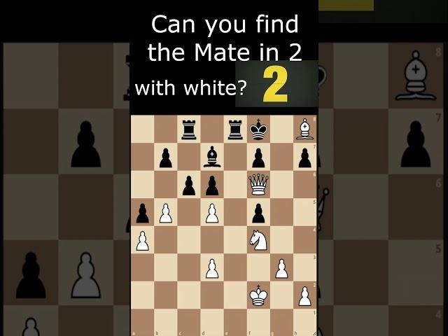 Order | Daily Chess Puzzle 343