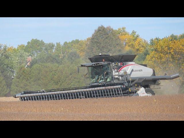Soybean Harvest 2020 | Gleaner S97 Harvesting Soybeans Ontario Canada