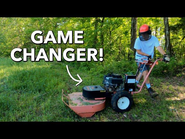 This Refurbished DR Mower Destroys Everything it Touches | Spring Cleaning at the Shed