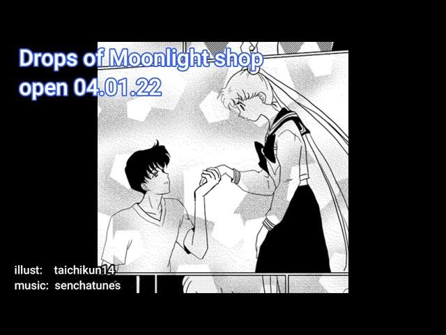 Sailor Moon "Drops of Moonlight Zine" preview 2