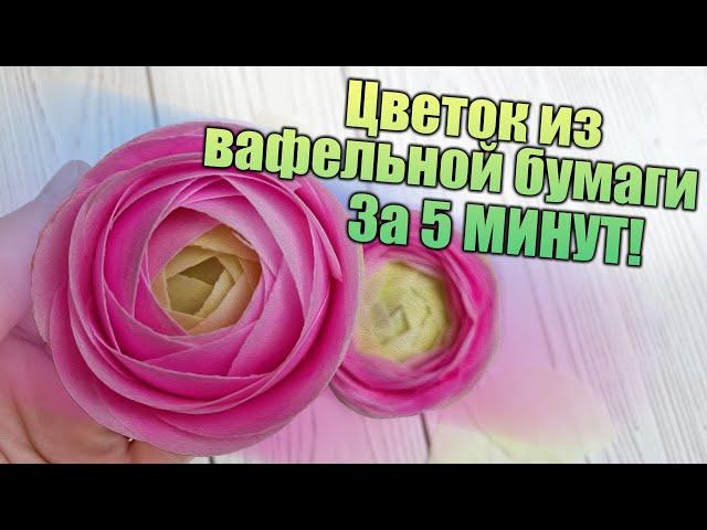 Декор для ТОРТА за 5 минут! Цветок Ранункулюс