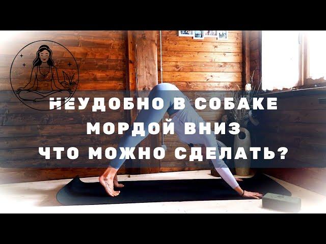 Собака мордой вниз секрет успеха | Что делать если в позе неудобно?