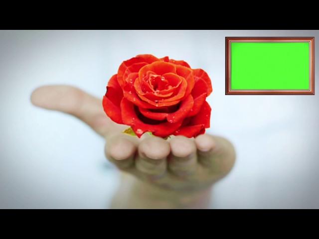 GREEN SCREEN HAND ROSE  2018 - FREE-HD