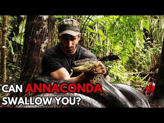 What If You Swallowed By an Anaconda?
