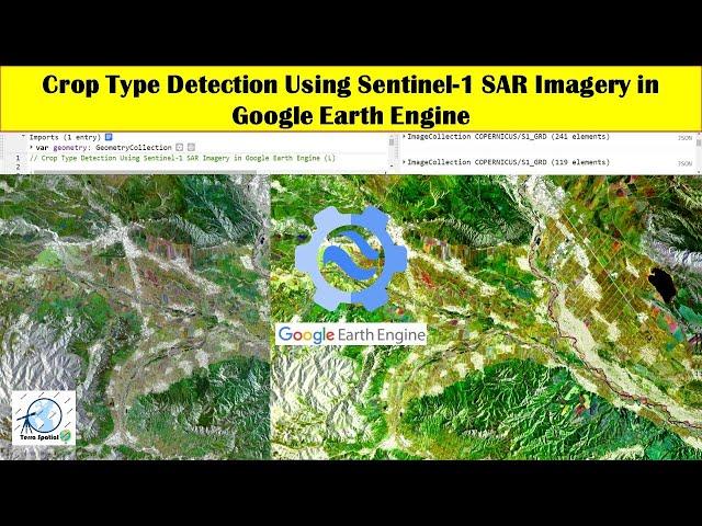 Crop Type Detection Using Sentinel-1 SAR Imagery in Google Earth Engine