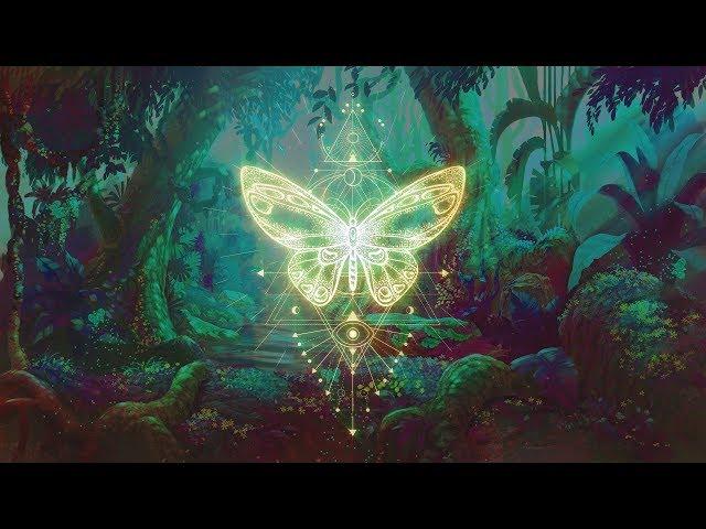 THE BUTTERFLY EFFECT ⁂ Elevate your Vibration ⁂ Positive Aura Cleanse ⁂ 432Hz Music