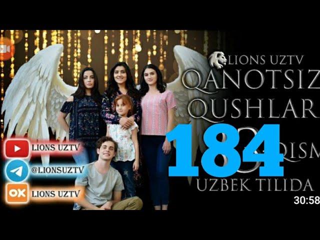 QANOTSIZ QUSHLAR 184 QISM TURK SERIALI UZBEK TILIDA | КАНОТСИЗ КУШЛАР 184 КИСМ УЗБЕК ТИЛИДА