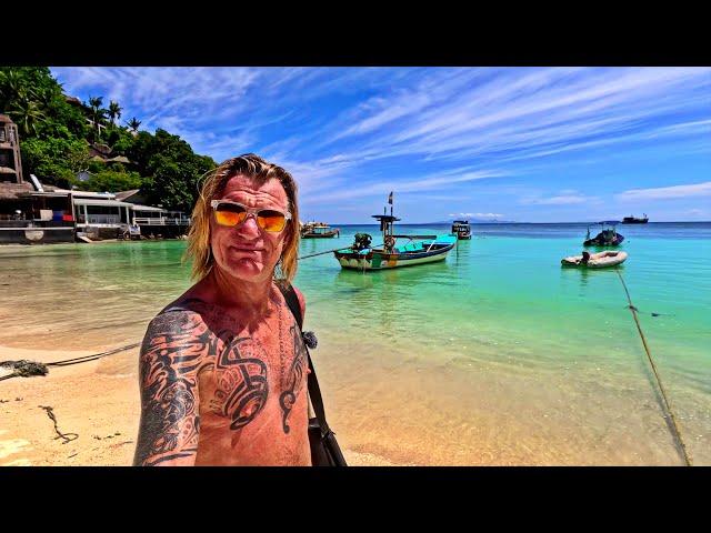 The Best of Koh Tao Thailand #vloggingadeadhorse