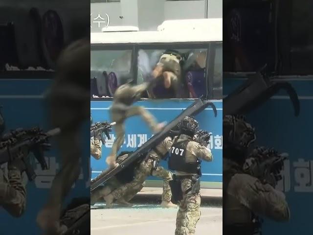 Special Forces In Action 