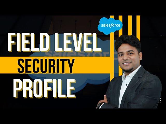 Field Level Security Profile || By Rajesh Chatterjee || Delipat.