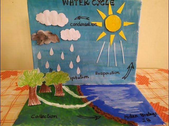 Water Cycle School Project Model | Simple Project | Water Cycle Model using  CardBoard  and paper